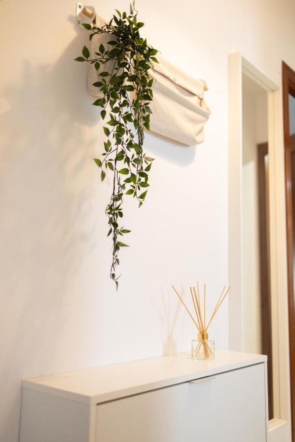Apartamento Unicornio Sanlúcar de Barrameda المظهر الخارجي الصورة